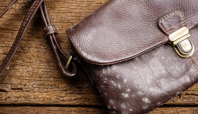 How to Remove Mold from Leather Bags