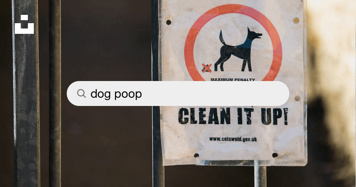 How to Clean Dog Poop off Rubber Sandals